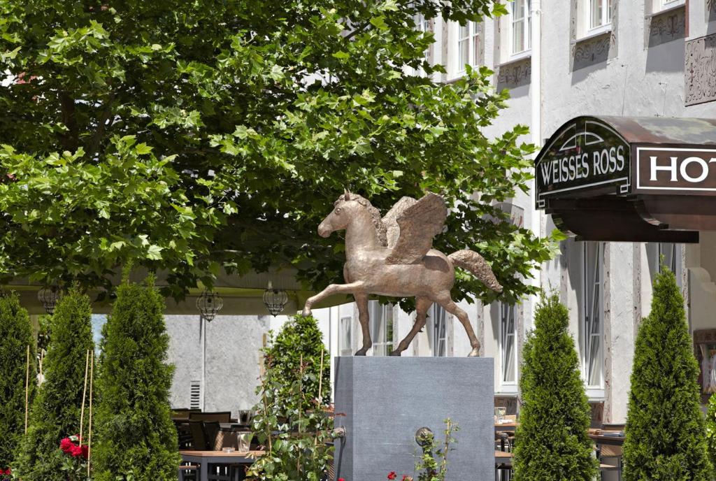 Hôtel Hotel Weisses Ross Salzstraße 12 87700 Memmingen