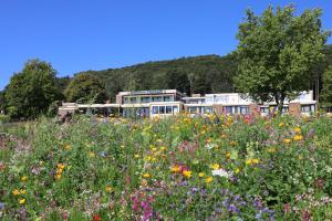 Hotel Wiehen-Therme