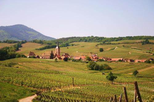 Hôtel Winzenberg