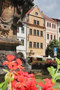 Hôtel Hotel Zittauer Hof Neustadt 28 02763 Zittau Saxe