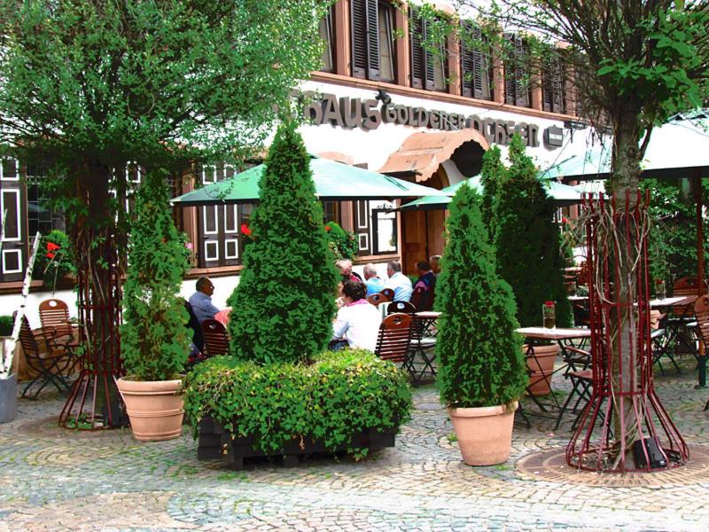 Hotel zum Goldenen Ochsen Marktstraße 4, 67487 Maikammer