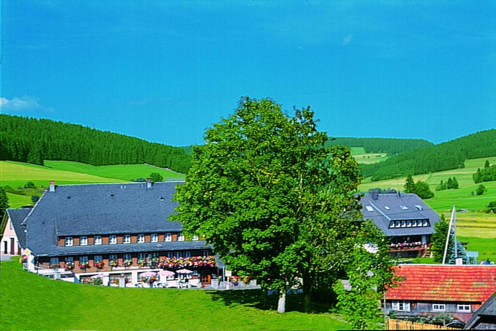 Hôtel Hotel Zum Löwen - Unteres Wirtshaus Langenordnach 4 79822 Titisee-Neustadt