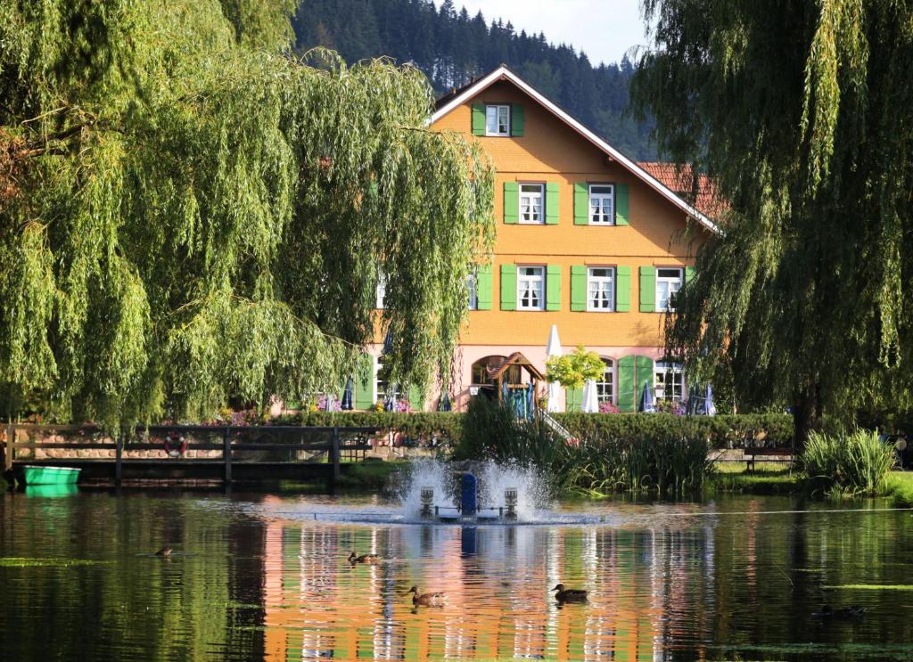 Hôtel Hotel Zur alten Mühle Im Gänzbrunnen 1 75305 Neuenbürg