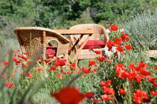 ibis Avallon 89200 Magny