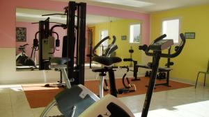 ibis Orange Sud