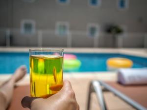 ibis Orange Sud