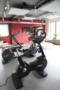 ibis Styles Bâle-Mulhouse Aéroport