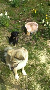 Jennys Ferienappartements