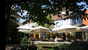 Hôtel Karpfenhotel & Herrenhaus im Gasthaus Sindel-Buckel Spitalstraße 28 91555 Feuchtwangen Bavière