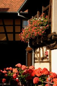 La Cour du Bailli Suites & Spa