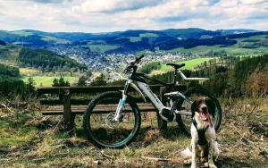 Land-Hotel Haus am Stein Winterberg mit Pool