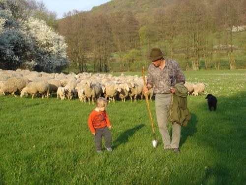 Hotel & Landgasthaus Pfeifertal Eulenbis allemagne