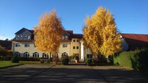 Hôtel Landgasthaus Zur Birke Niddergrund 7 63679 Burkhards Hesse