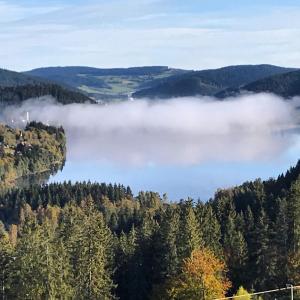 Hôtel Landgasthof Alpenblick an der Wutachschlucht Südschwarzwald Bergstraße 37 Landgasthof Alpenblick - Göschweiler 79843 Löffingen Bade-Wurtemberg