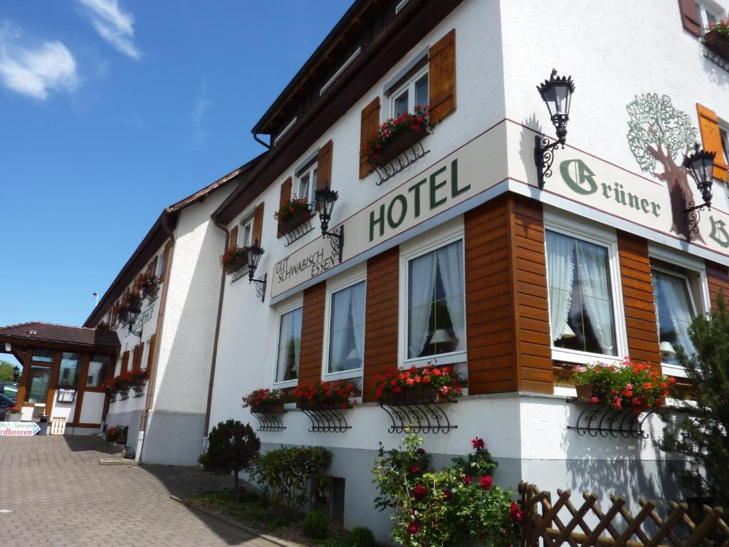 Hôtel Hotel Landgasthof Grüner Baum Heinrichsburger Strasse  2, 88454 Hochdorf