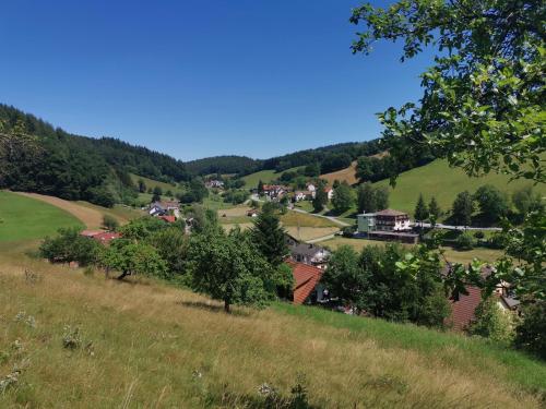 Hotel Landgasthof Grüner Baum Beerfelden allemagne