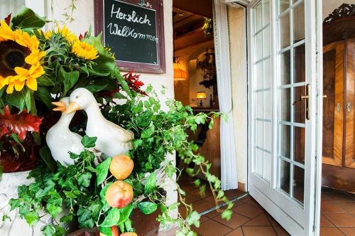 Landgasthof & Hotel Jagdhof