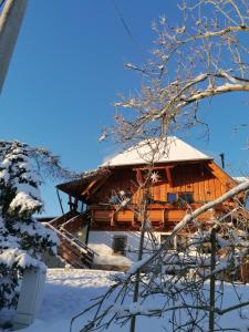 Hôtel Landgasthof Plohnbachtal UG Rodewischer Straße 23 08485 Abhorn Saxe