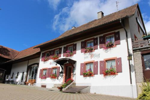 Hotel Landgasthof zum Pflug Kleines Wiesental allemagne