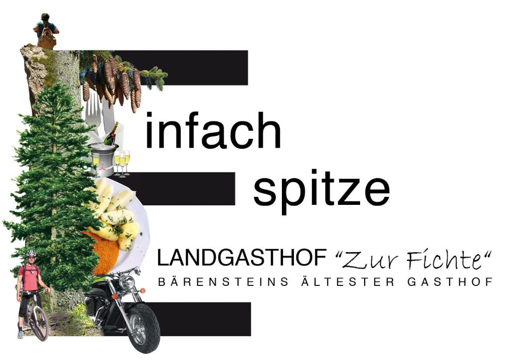 Hôtel Landgasthof Zur Fichte Fichtberg 15 09471 Bärenstein