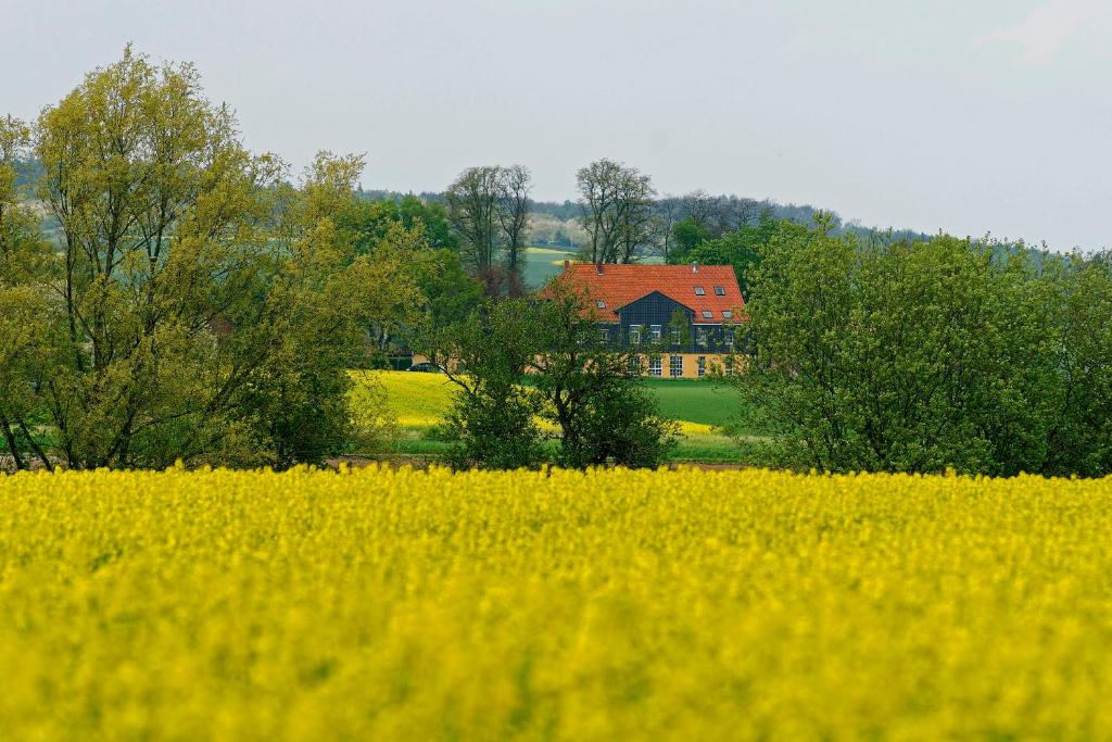 Hôtel Landhaus Heidekrug Heidekrug 55 31139 Hildesheim