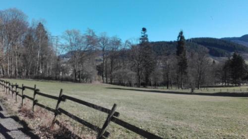 Landhotel am Schloss