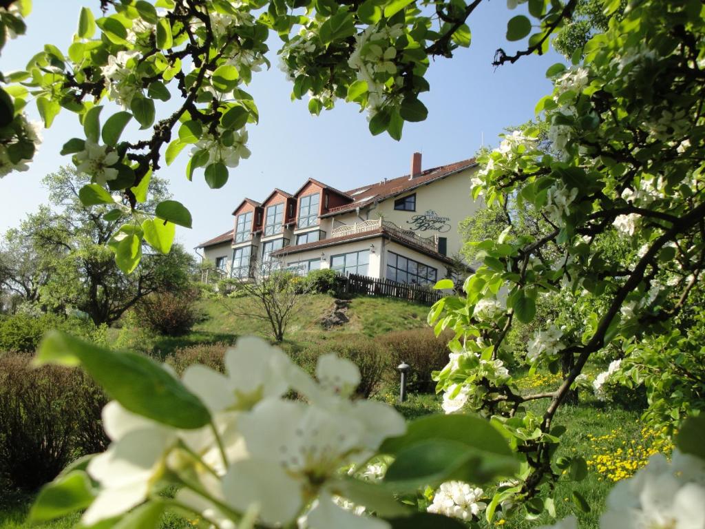 Hôtel Landhotel BurgenBlick Garni & Tagungshotel Am Zwetschenberg 20 99094 Erfurt