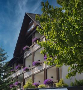 Hôtel Landhotel Henkenhof Willingen Hochsauerlandstr. 23 34508 Willingen Hesse