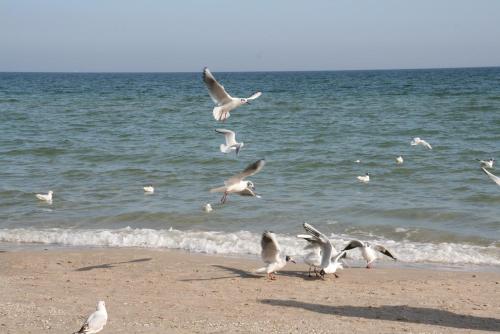 Landhotel Ostseetraum & Fewo
