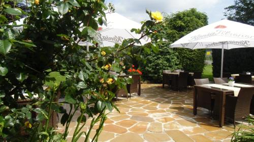 Landhotel-Restaurant Schwalbennest