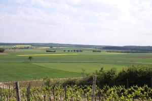 Landhotel & Weingut Espenhof
