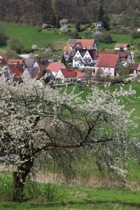 Hôtel Landidyll Hotel Zum Alten Schloss Kleedorf 5 91241 Kirchensittenbach Bavière