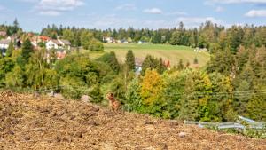 Hôtel Landpension Pferdekoppel - Self Checkin Kniebisstr. 65 72297 Seewald Bade-Wurtemberg