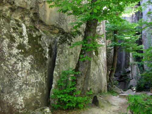 Le Beausejour