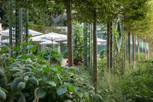 Le Bristol Paris - an Oetker Collection Hotel