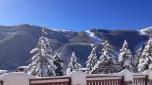 Hôtel Le Chalet d'Auron La Voie du Berger 06660 Auron Provence-Alpes-Côte d\'Azur