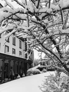 Hôtel Le Grand Hôtel Mont Dore 2 Rue Meynadier 63240 Le Mont-Dore Auvergne