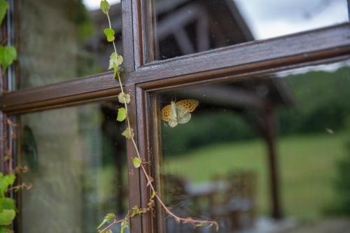 Le Hameau de Barboron