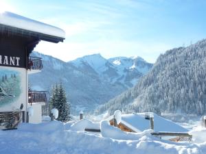 Le Roitelet