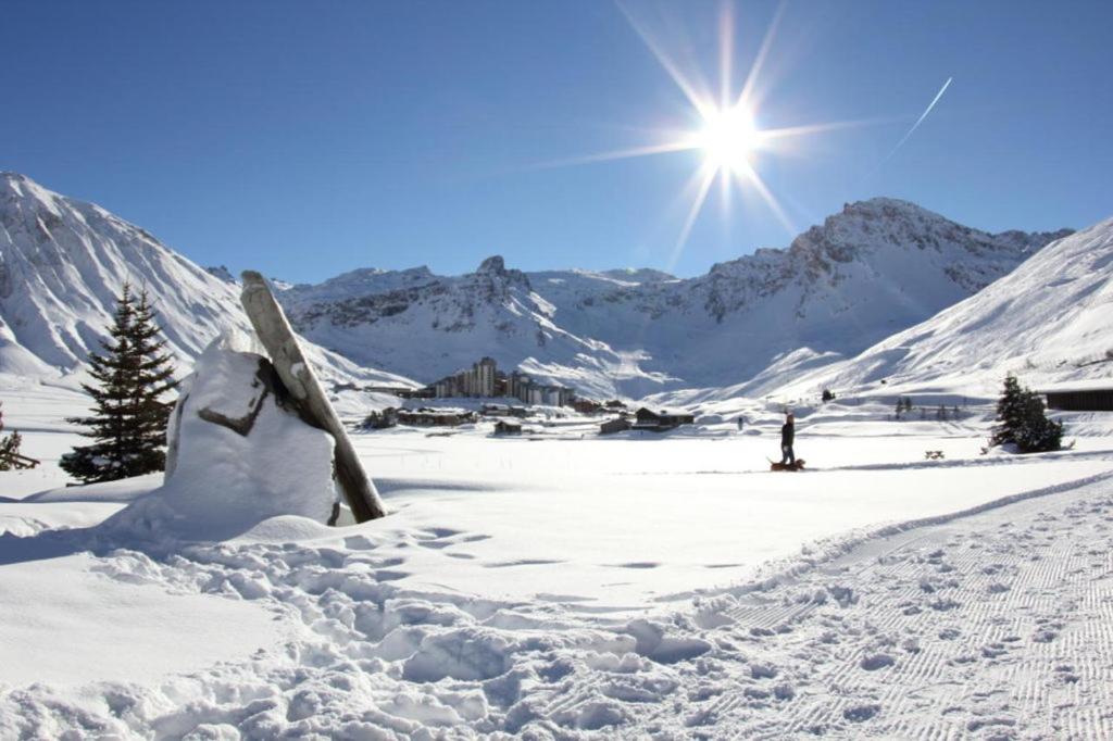 Hôtel Le Terril Blanc BP 62 73320 Tignes