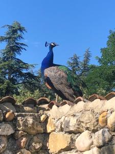 Le Trésor des Templiers