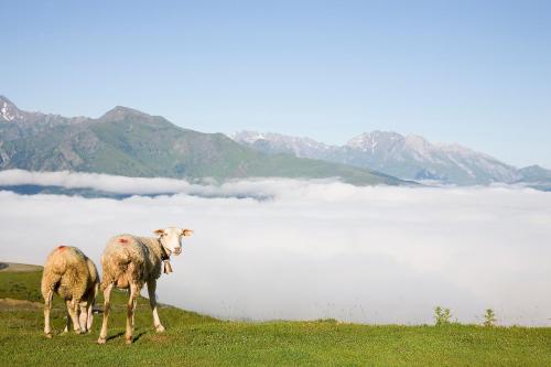 Hotel Le Viscos Saint-Savin france