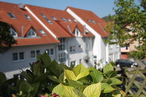 Hotel Leo Mühlhausen Mühlhausen allemagne