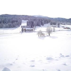 Les Arobiers