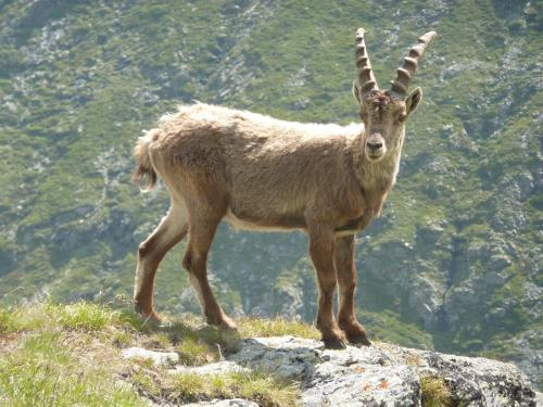 Les Glières - Champagny-en-Vanoise