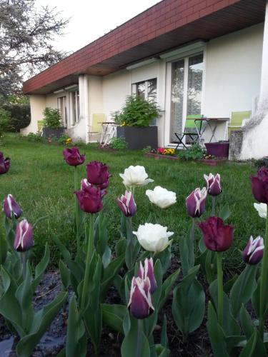 Les Jardins du Forez