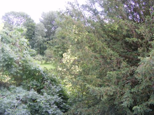 Les Lilas Des Deux Ponts