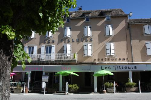 Hôtel Les Tilleuls de Pareloup à Salles-Curan Salles-Curan france