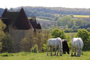 Logis Le Montligeon