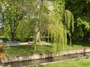 Logis Moulin Des Forges